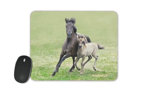  Horses, wild Duelmener ponies, mare and foal voor Mousepad