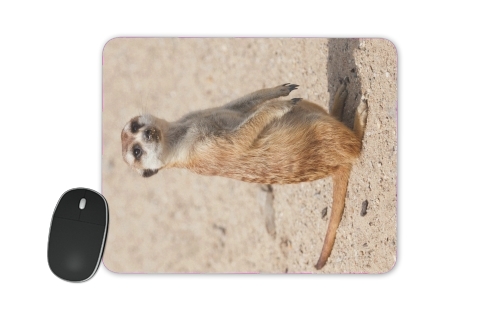  Meerkat voor Mousepad