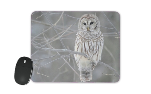  owl bird on a branch voor Mousepad
