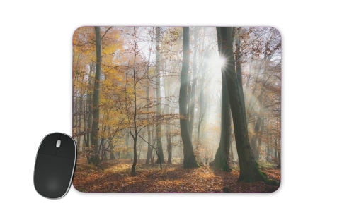  Sun rays in a mystic misty forest voor Mousepad