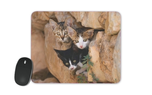  Three cute kittens in a wall hole voor Mousepad