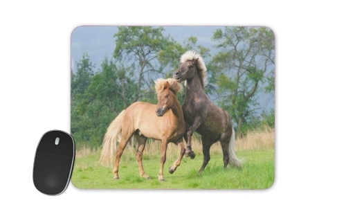  Two Icelandic horses playing, rearing and frolic around in a meadow voor Mousepad