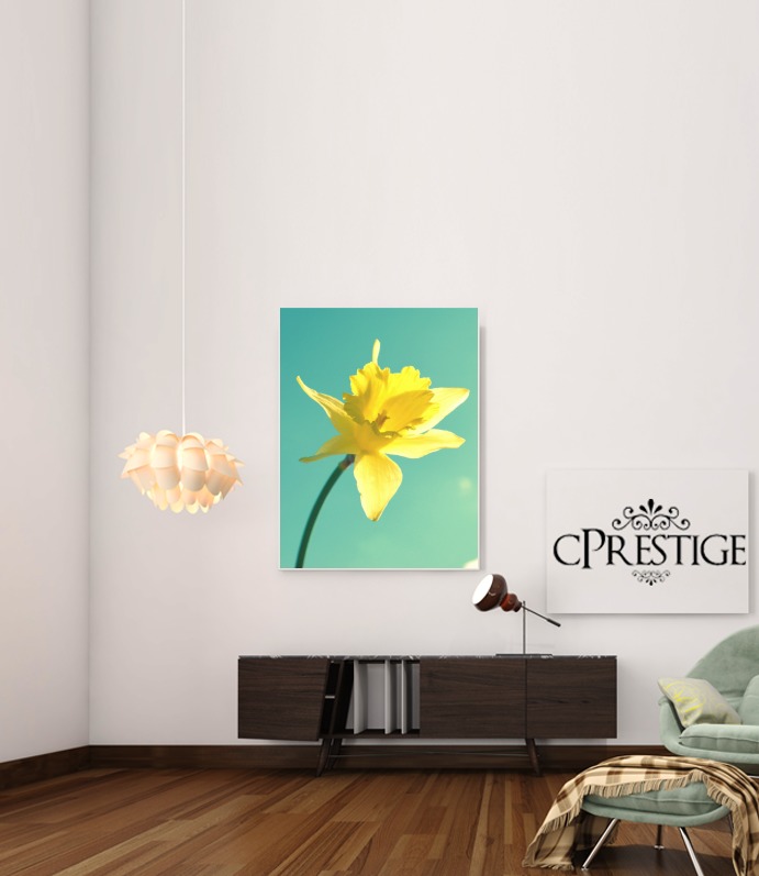  Daffodil voor Bericht lijm 30 * 40 cm