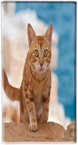  Ginger kitten on a cliff voor draagbare externe back-up batterij 5000 mah Micro USB