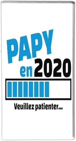  Papy en 2020 voor draagbare externe back-up batterij 5000 mah Micro USB
