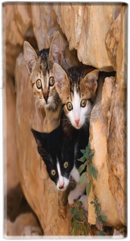  Three cute kittens in a wall hole voor draagbare externe back-up batterij 5000 mah Micro USB