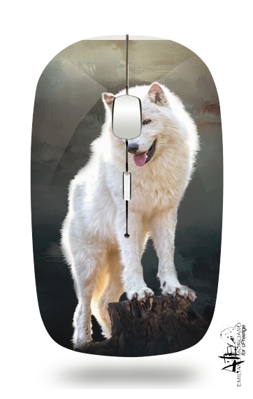  Arctic wolf voor Draadloze optische muis met USB-ontvanger