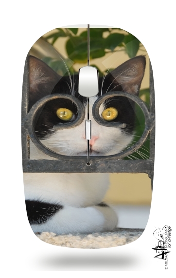  Cat with spectacles frame, she looks through a wrought iron fence voor Draadloze optische muis met USB-ontvanger