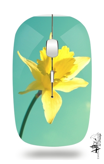  Daffodil voor Draadloze optische muis met USB-ontvanger