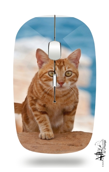  Ginger kitten on a cliff voor Draadloze optische muis met USB-ontvanger