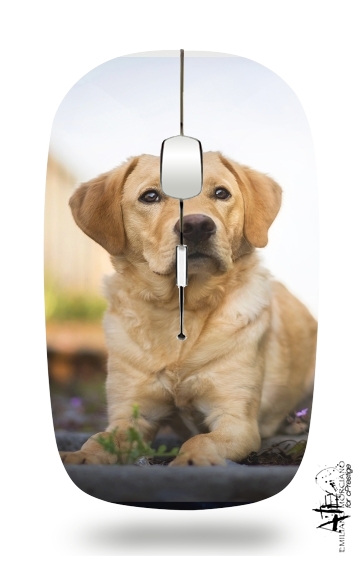  Labrador Dog voor Draadloze optische muis met USB-ontvanger