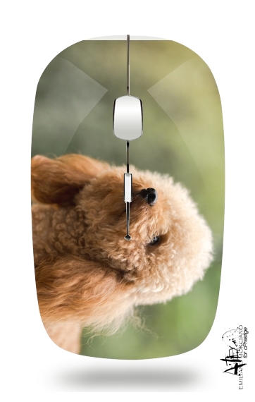  poodle on grassy field voor Draadloze optische muis met USB-ontvanger