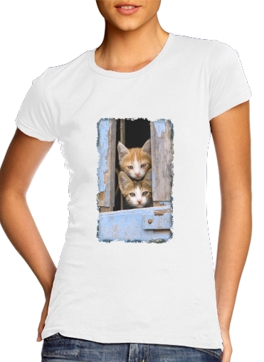  Cute curious kittens in an old window voor Vrouwen T-shirt