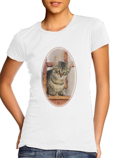  Cute kitten on a rusty iron door  voor Vrouwen T-shirt