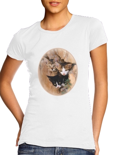  Three cute kittens in a wall hole voor Vrouwen T-shirt