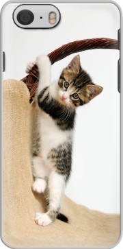 Hoesje Baby cat, cute kitten climbing for Iphone 6 4.7