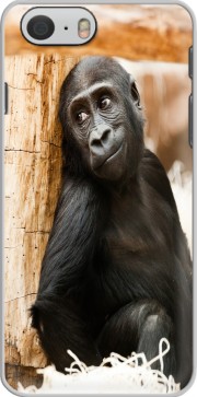 Hoesje Baby Monkey for Iphone 6 4.7