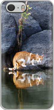 Hoesje Cat Reflection in Pond Water for Iphone 6 4.7