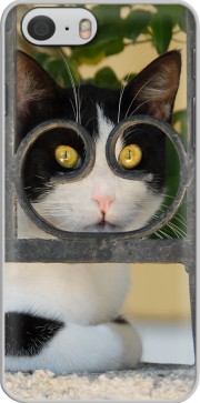 Hoesje Cat with spectacles frame, she looks through a wrought iron fence for Iphone 6 4.7