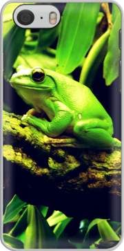 Hoesje Green Frog for Iphone 6 4.7