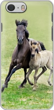Hoesje Horses, wild Duelmener ponies, mare and foal for Iphone 6 4.7