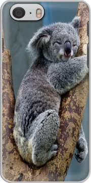 Hoesje Koala Bear Australia for Iphone 6 4.7