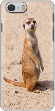 Hoesje Meerkat for Iphone 6 4.7