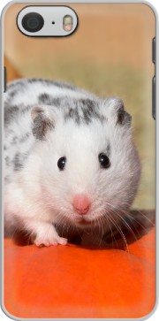 Hoesje White Dalmatian Hamster with black spots  for Iphone 6 4.7