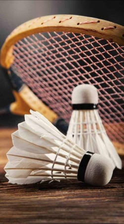 hoesje Badminton Champion