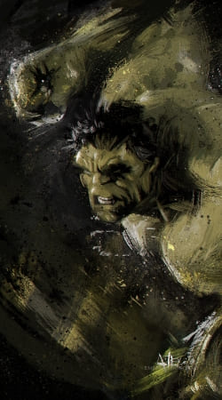 hoesje Hulk