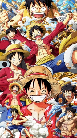 hoesje One Piece Luffy