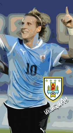 hoesje Uruguay Foot 2014