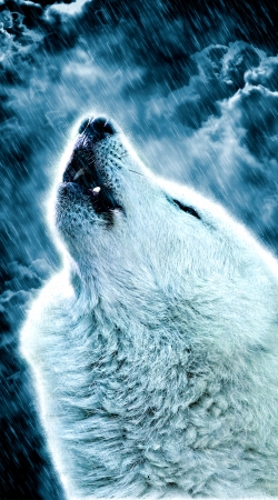 hoesje A howling wolf in the rain