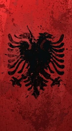hoesje Albanie Painting Flag