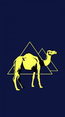 hoesje Arabian Camel (Dromedary)