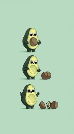 hoesje Avocado Born