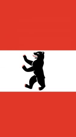 hoesje Berlin Flag