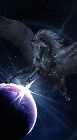 hoesje Black Pegasus