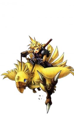 hoesje Chocobo and Cloud