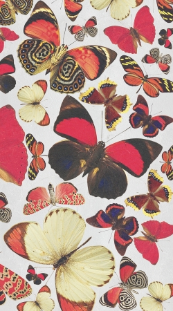 hoesje Come with me butterflies