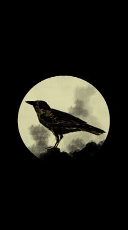hoesje Crow
