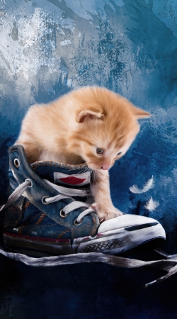 hoesje Cute kitten plays in sneakers