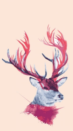 hoesje Deer paint