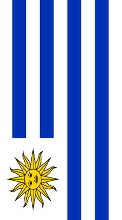 hoesje flag of Uruguay