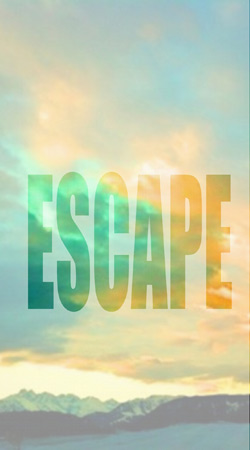 hoesje Escape