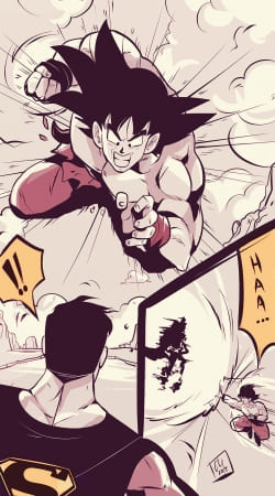 hoesje Goku vs superman