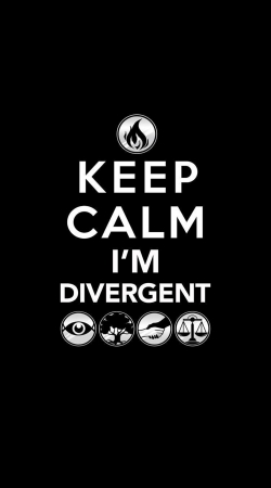 hoesje Keep Calm Divergent Faction
