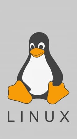 hoesje Linux Hosting