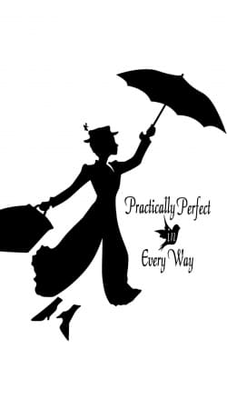 hoesje Mary Poppins Perfect in every way