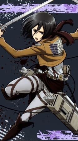 hoesje Mikasa Titan